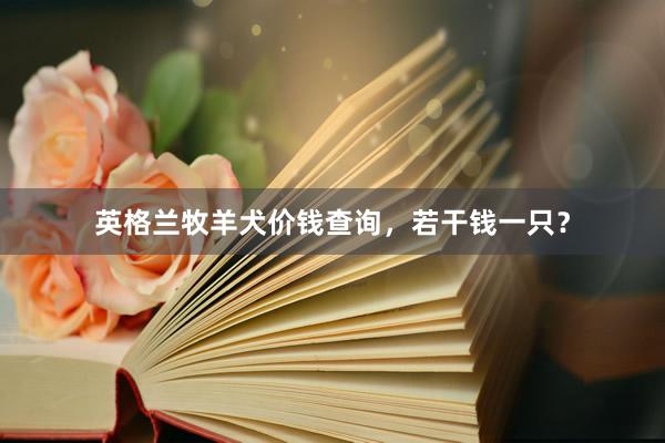 英格兰牧羊犬价钱查询，若干钱一只？